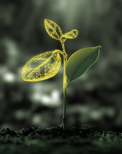 Piantina con foglie in parte digitali con un bosco sullo sfondo